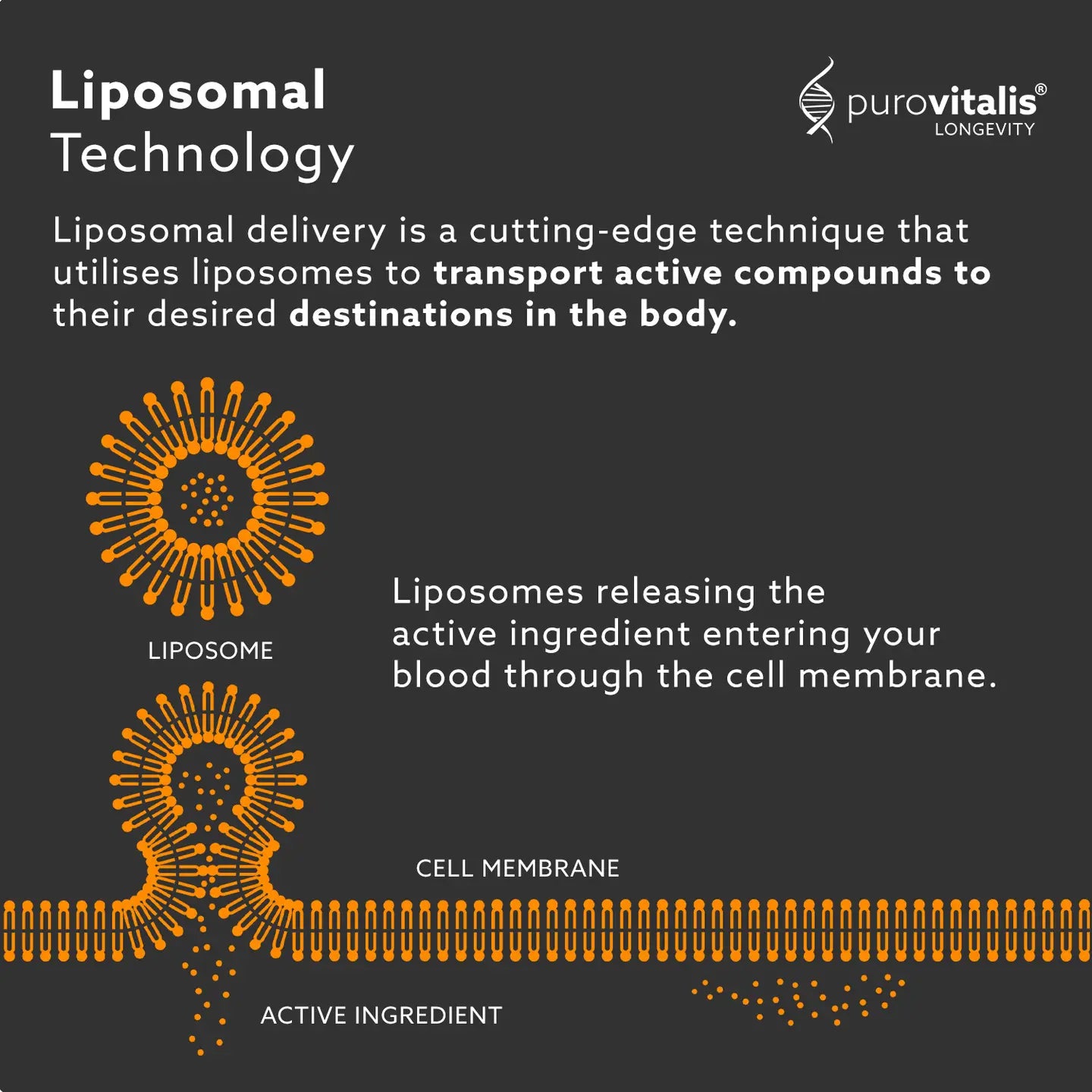 Purovitalis Liposomal Vitamin D3 – 2000 Iu, 60 Caps