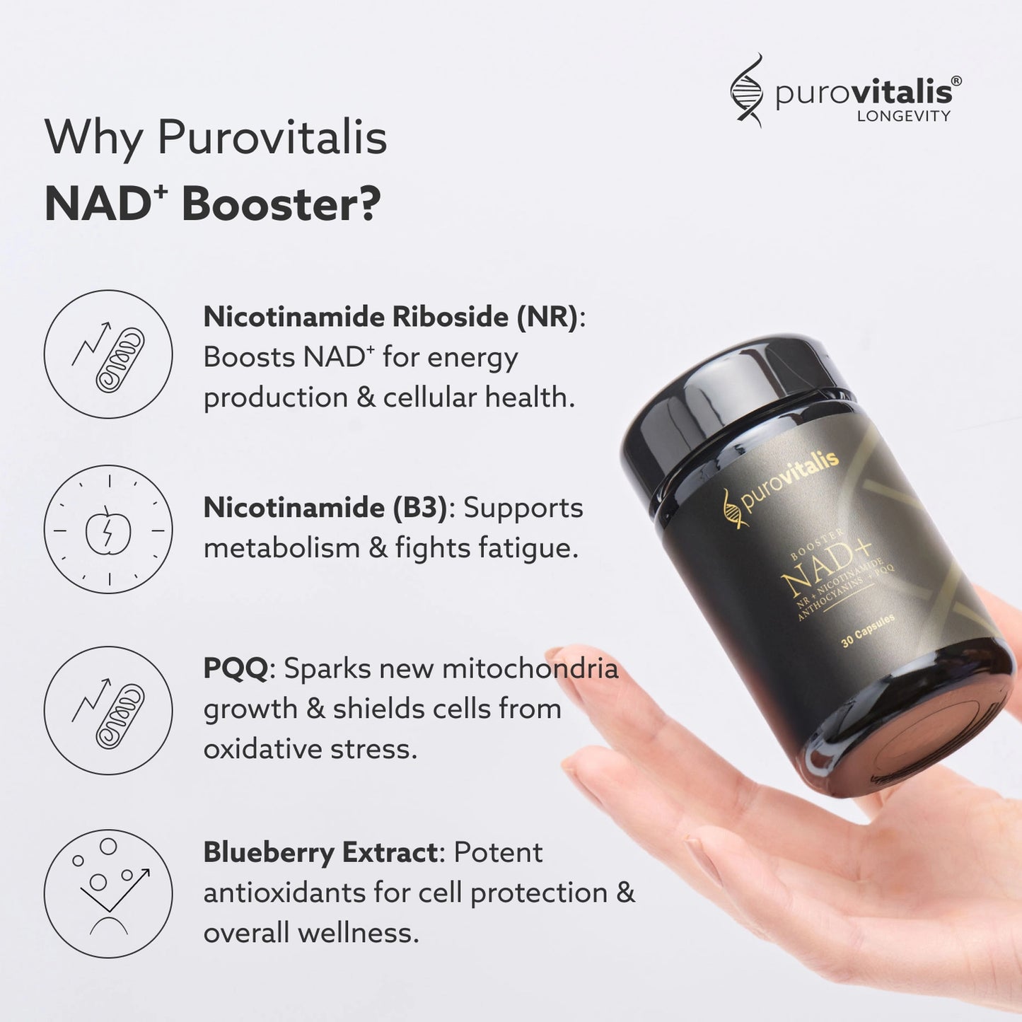 Nad+ Booster – Nr, Pqq, Anthocyanins, B3