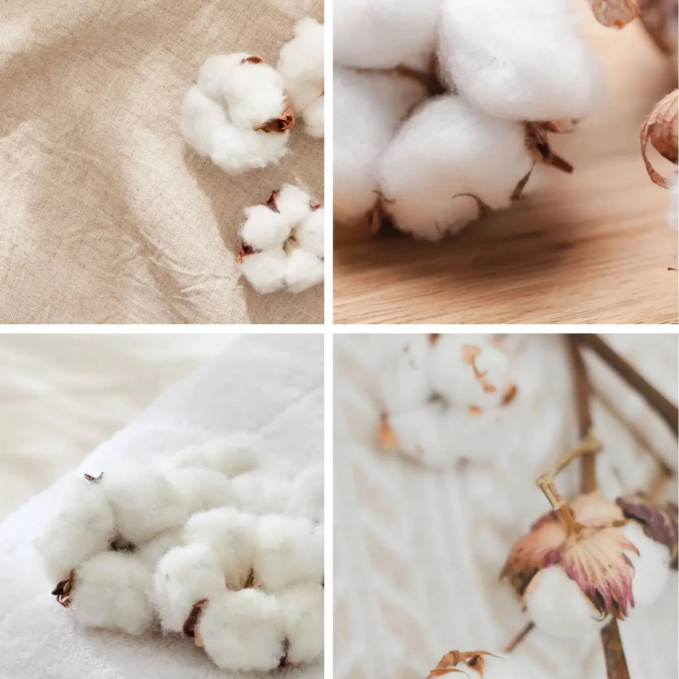 Clean Cotton Scented Candle