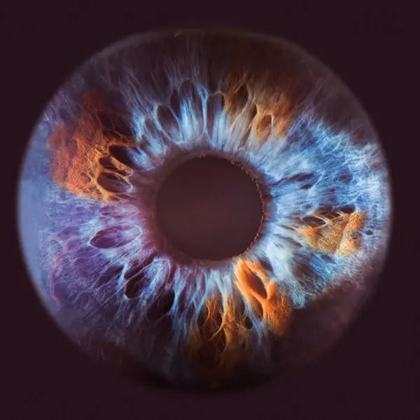 Close Up Eau De Parfum 100ml