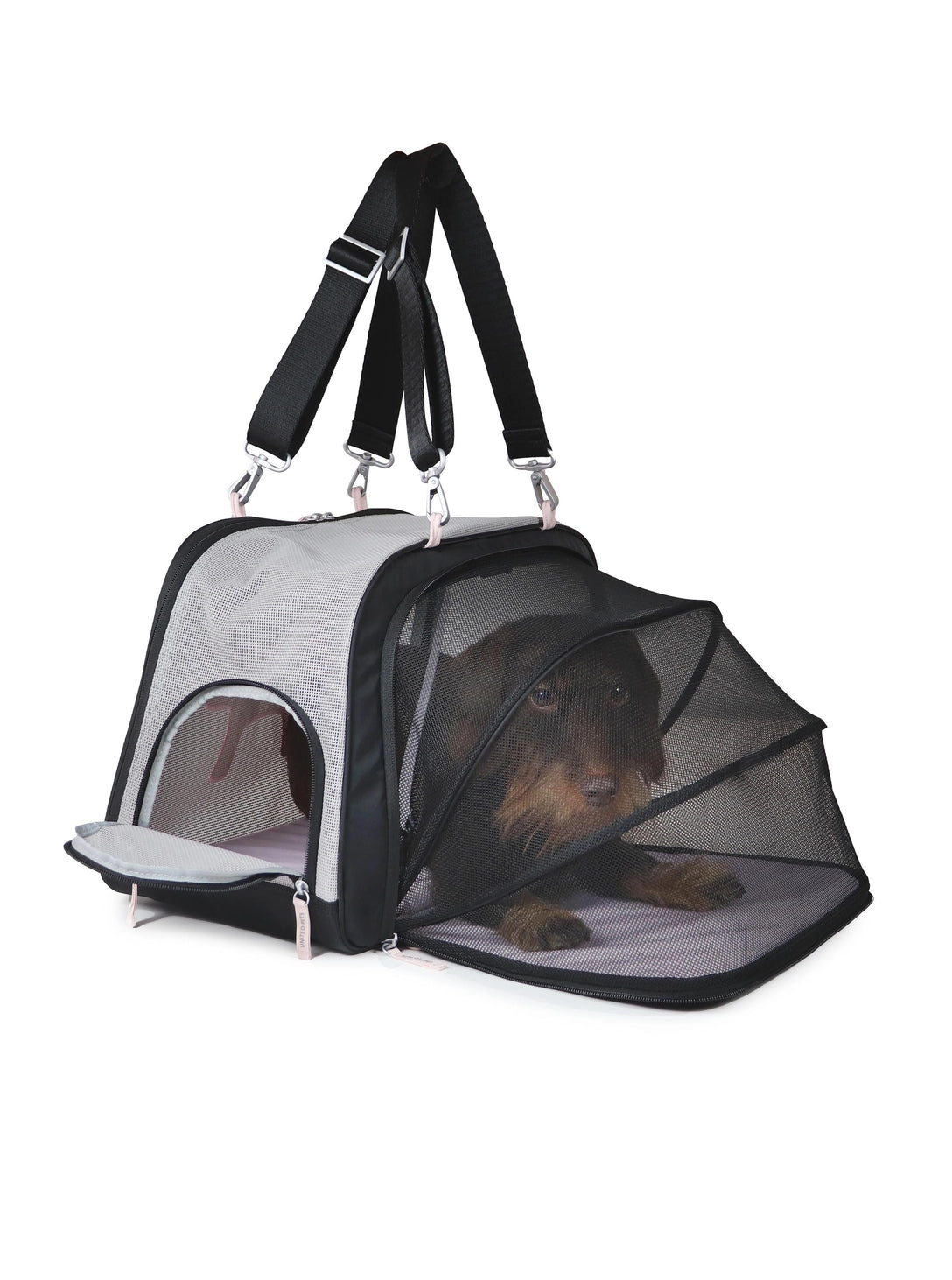 Extendable Carrier For Dogs and Cats