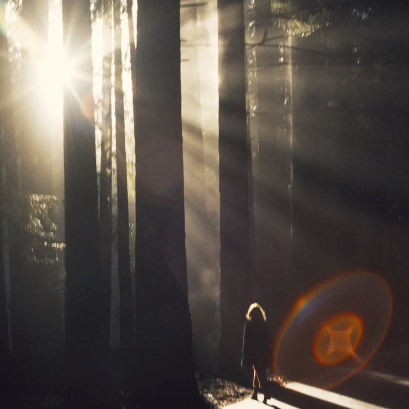 Woody Mood Eau De Parfum 100ml