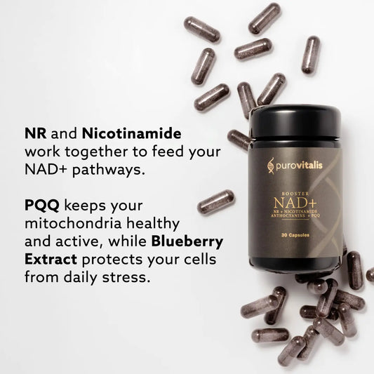 Nad+ Booster – Nr, Pqq, Anthocyanins, B3
