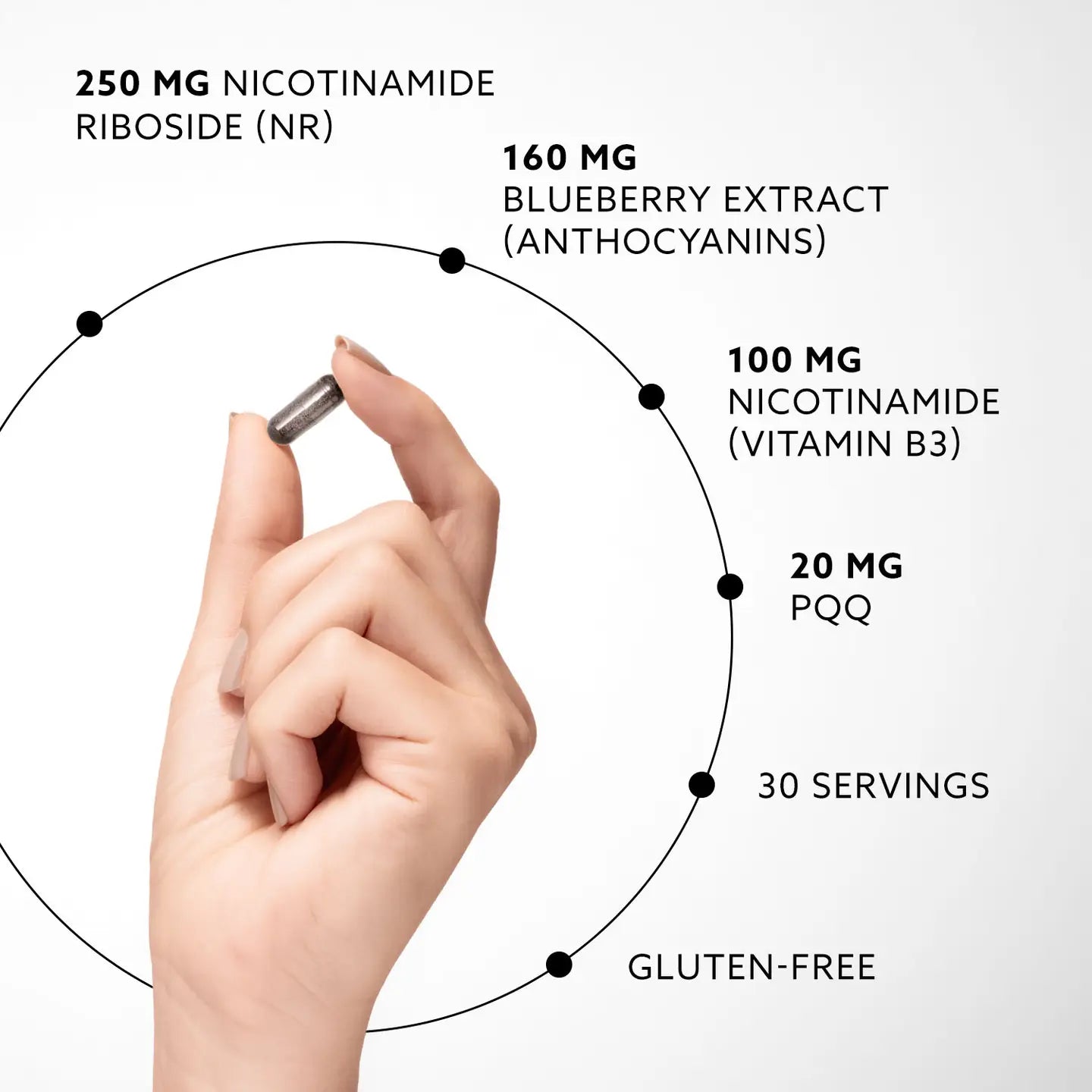 Nad+ Booster – Nr, Pqq, Anthocyanins, B3