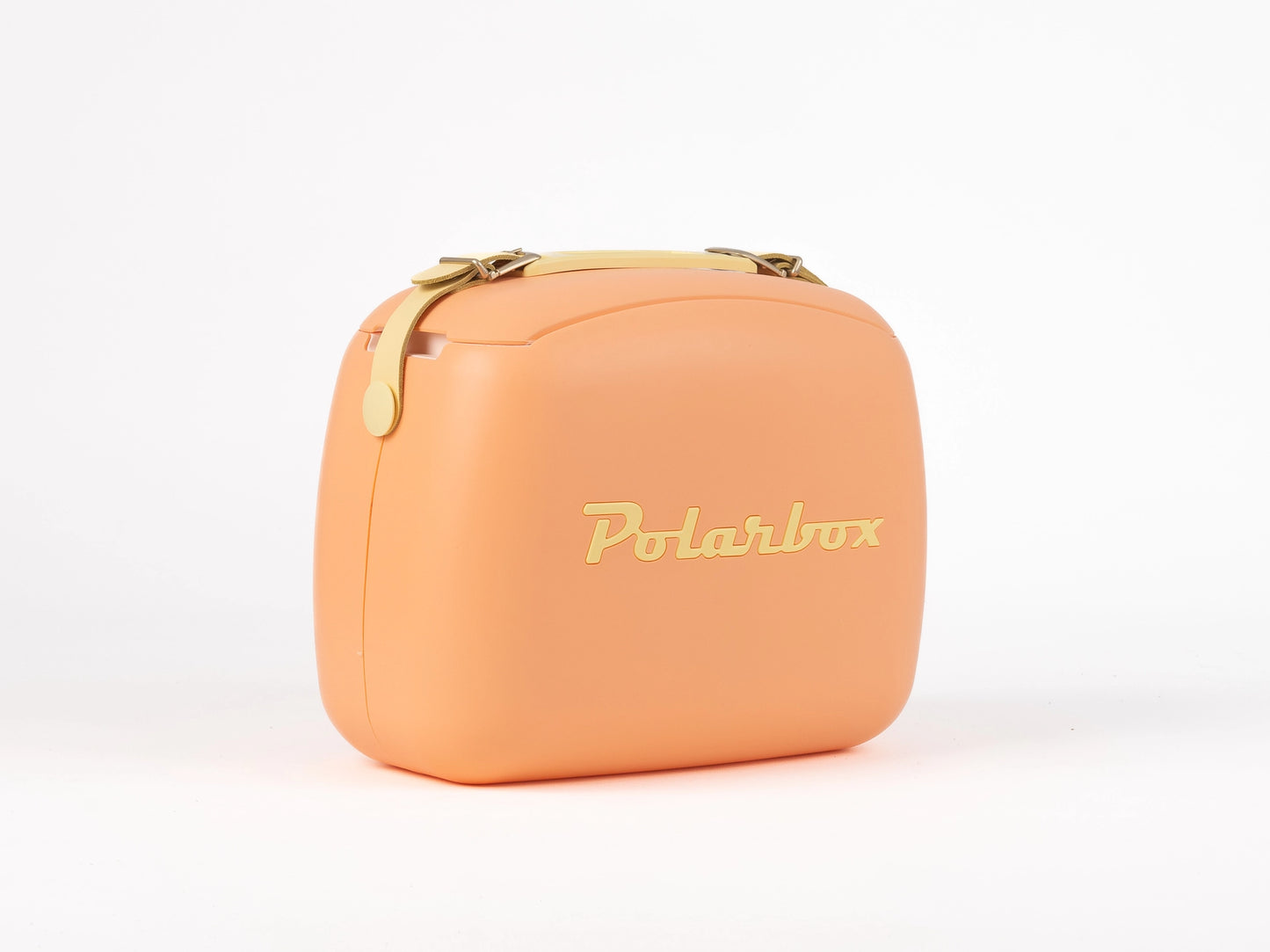 Polarbox Cool Box Pop 6L Beach Picnic Summer Retro