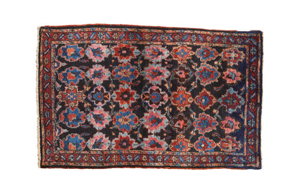 2.5x4.5 Vintage Bibikabad Rug