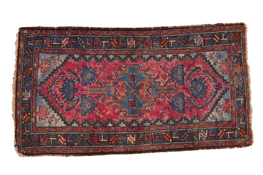 2.5x4.5 Vintage Mehriban Rug