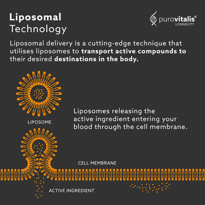Purovitalis Liposomal Nmn – 125mg High Absorption