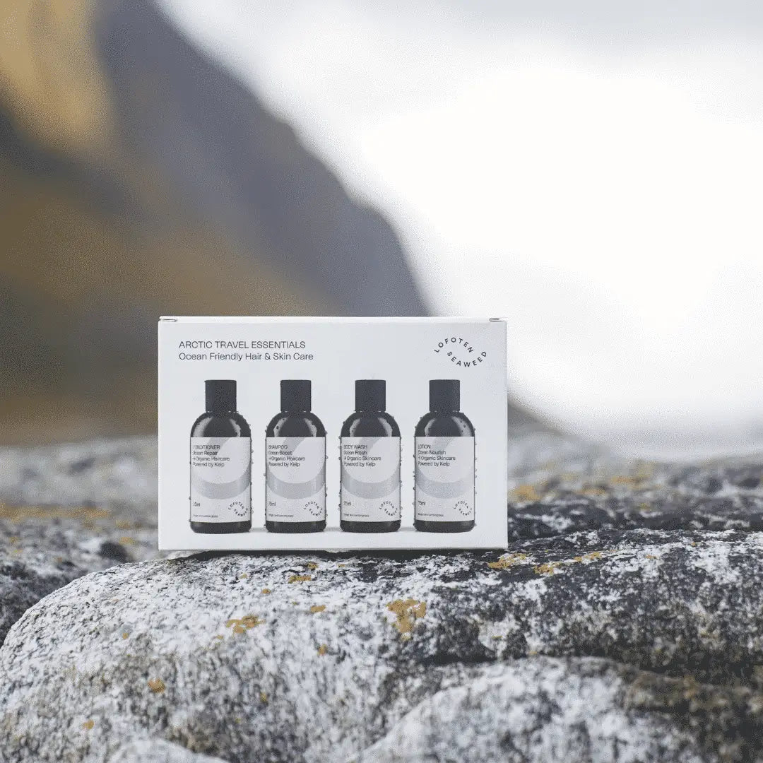 Arctic Travel Essentials