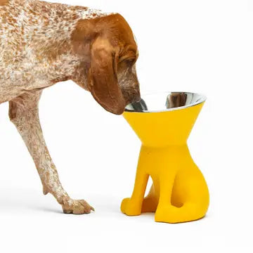 Elizabeth: Dog bowl with raised dog