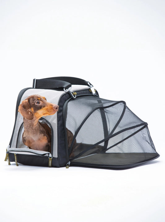 Extendable Carrier For Dogs and Cats