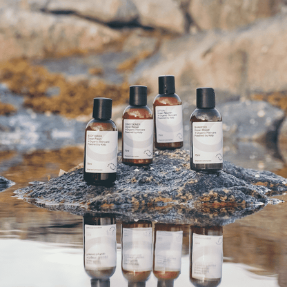 Arctic Travel Essentials