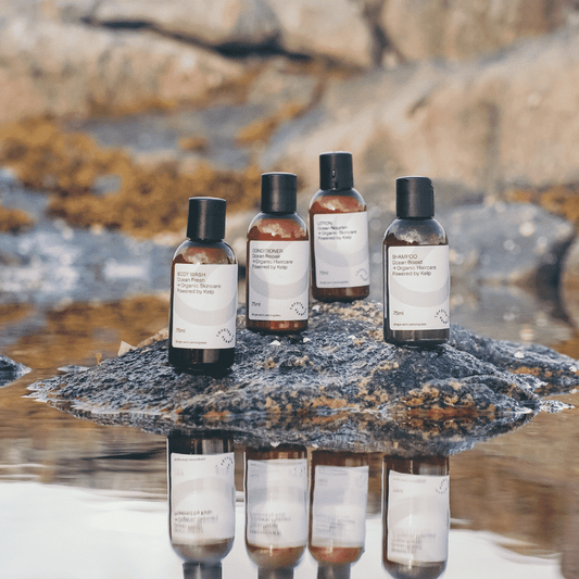 Arctic Travel Essentials