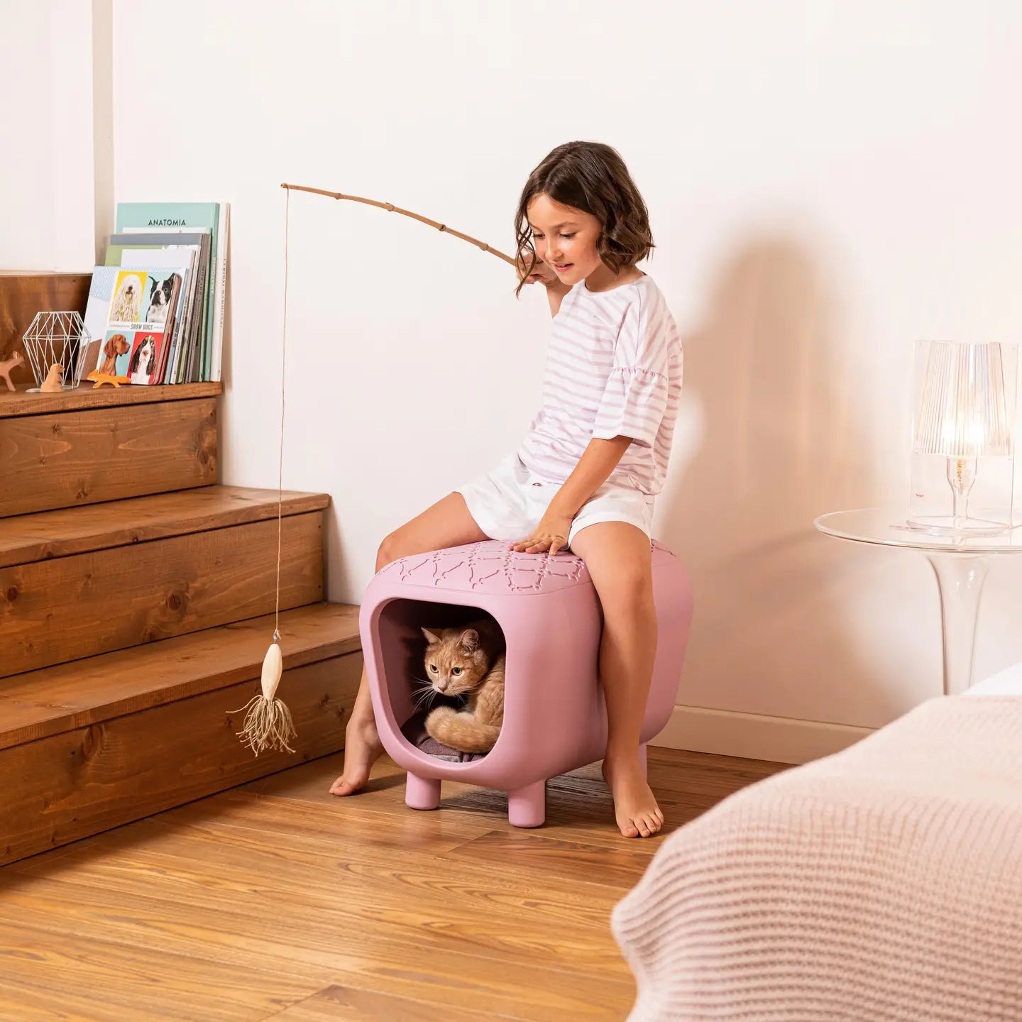 Designer bench and dog house with two-tone inner cushion