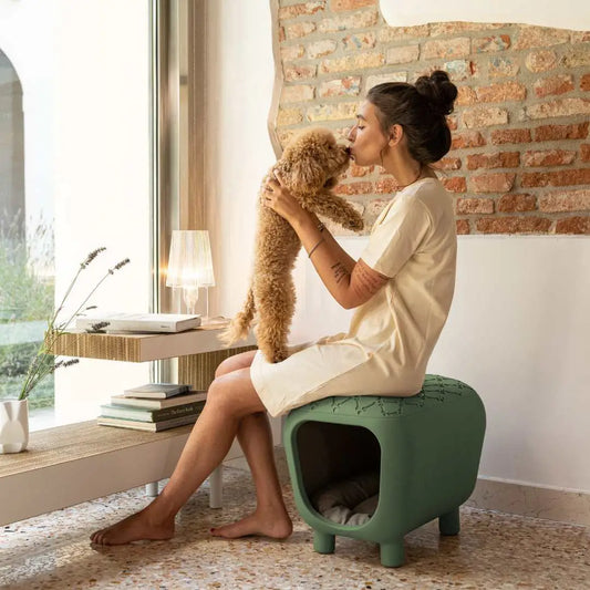 DDesigner bench and dog house with two-tone inner cushion