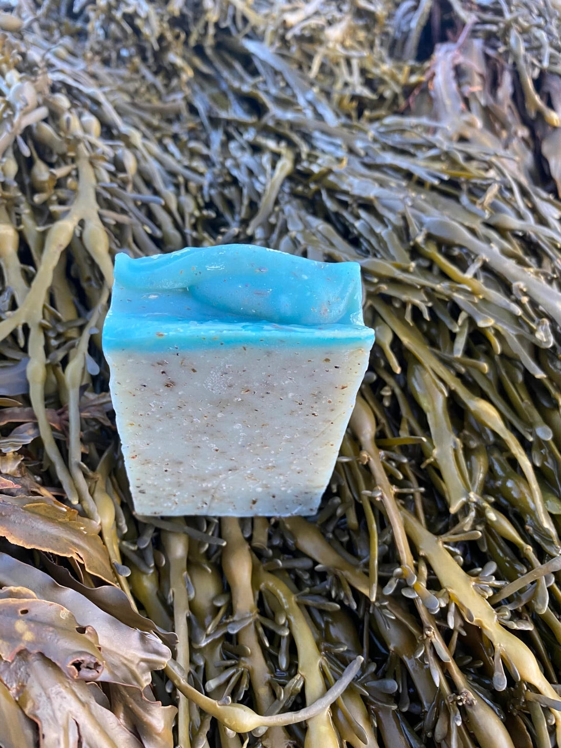 Seaweed Soap 12 pack
