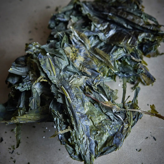 Winged Kelp