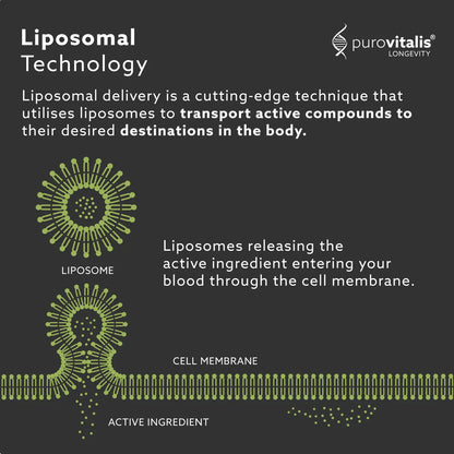 Purovitalis Liposomal Quercetin – 125mg, 5x Absorption