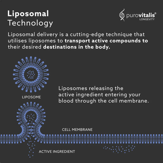 Purovitalis Liposomal Spermidine Fusion – 5mg, 30 Caps