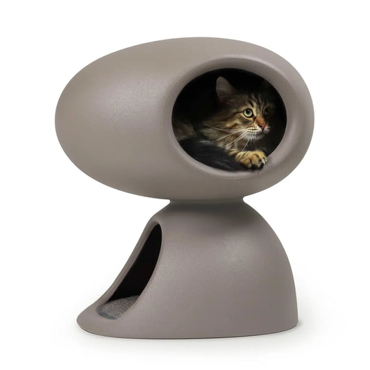 Designer cat bed with scratching board and plush toys