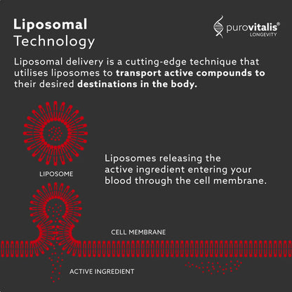 Purovitalis Liposomal Resveratrol – 250mg Micronized - 30pc