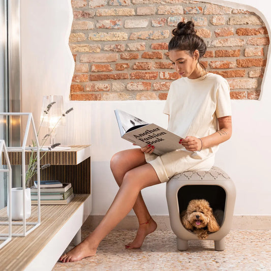 Designer bench and dog house with two-tone inner cushion