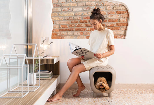 DDesigner bench and dog house with two-tone inner cushion