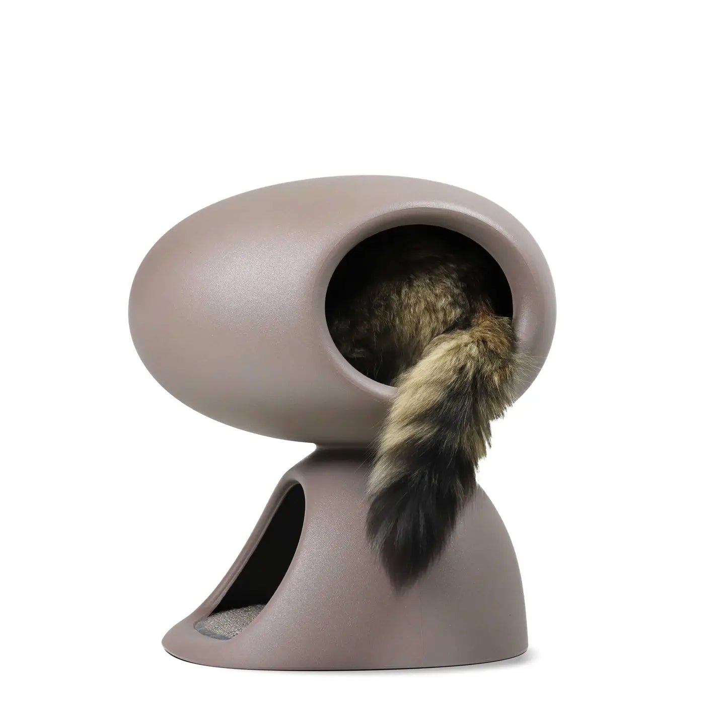 Designer cat bed with scratching board and plush toys