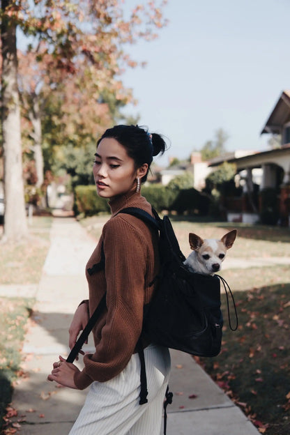 Premium All-Black Pet Backpack