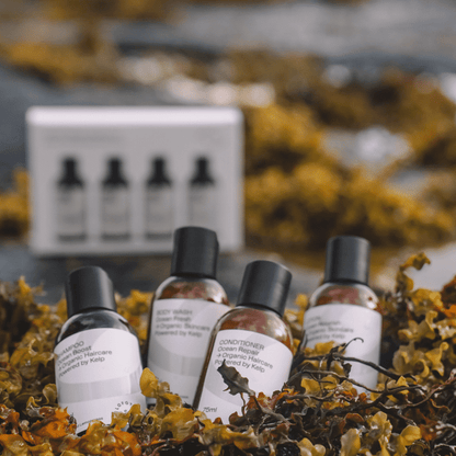 Arctic Travel Essentials