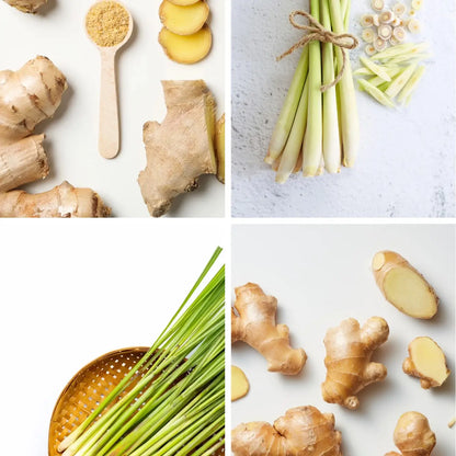 Ginger & Lemongrass Scented Candle