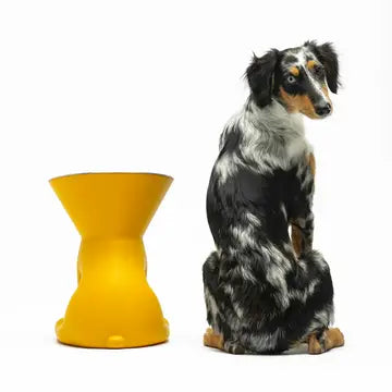 Elizabeth: Dog bowl with raised dog