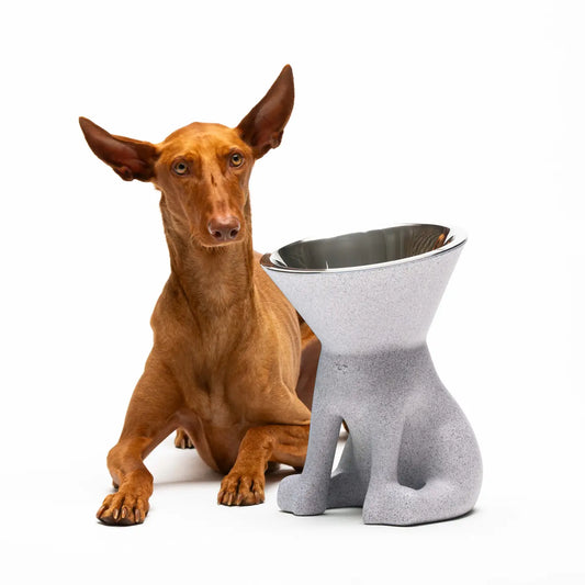 Elizabeth: Dog bowl with raised dog