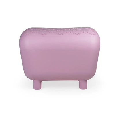 Designer bench and dog house with two-tone inner cushion