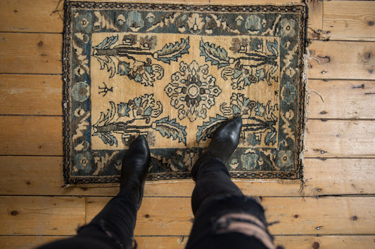 2x3 Vintage Fine Distressed Lilihan Rug Mat