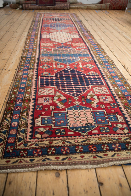 3.5x12.5 Vintage Baktiari Rug Runner