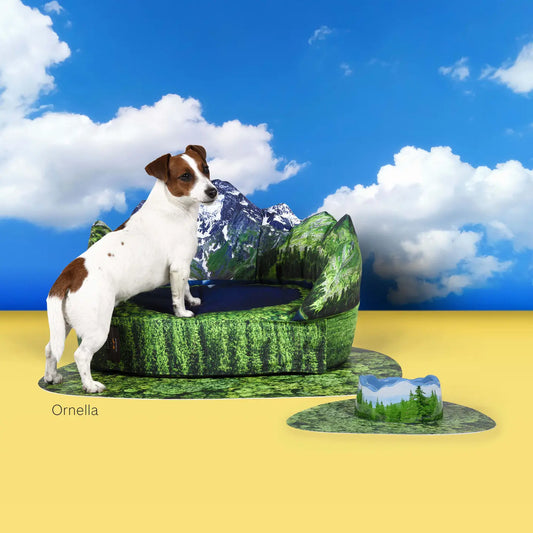 Removable Doghouse Set+Waterproof Underdoghouse Mat