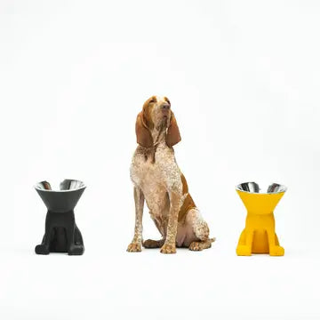 Elizabeth: Dog bowl with raised dog