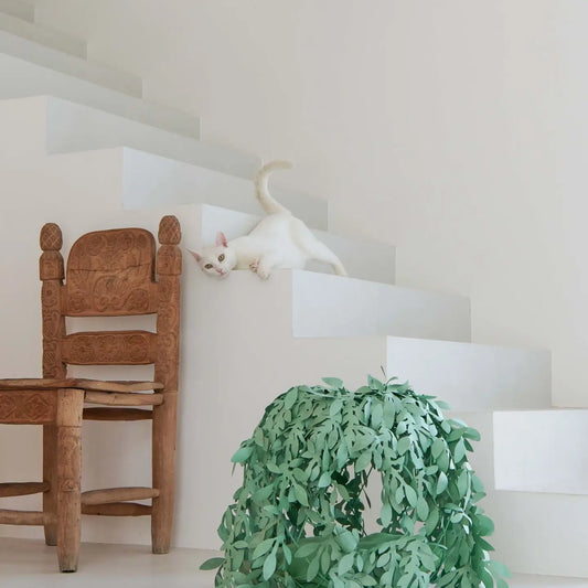 Cat Bush - Green Bush Cat Bed