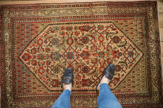 3.5x5 Vintage Distressed Serbend Rug