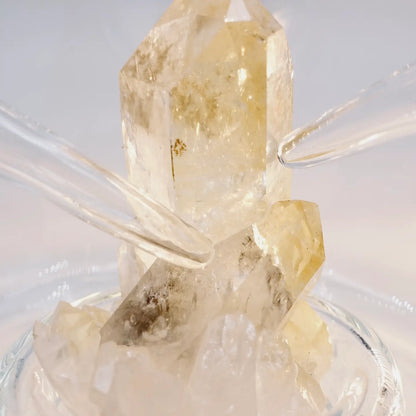 Gigi Carafe with Rock Crystal