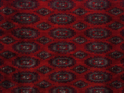 10x14.5 Vintage Fine Pakistani Turkmen Design Carpet