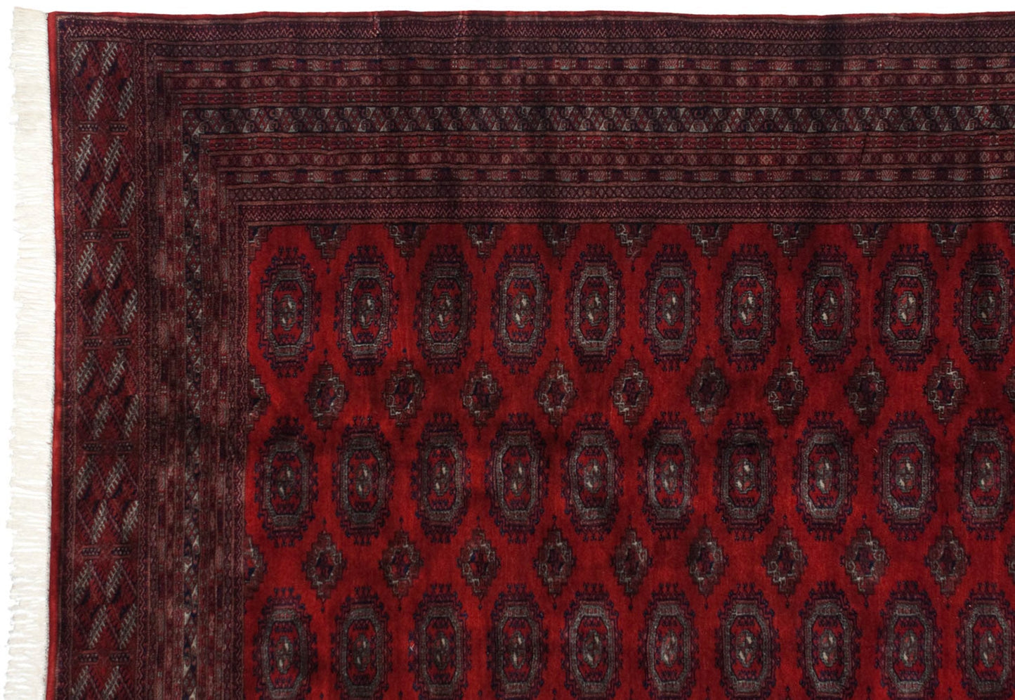 10x14.5 Vintage Fine Pakistani Turkmen Design Carpet