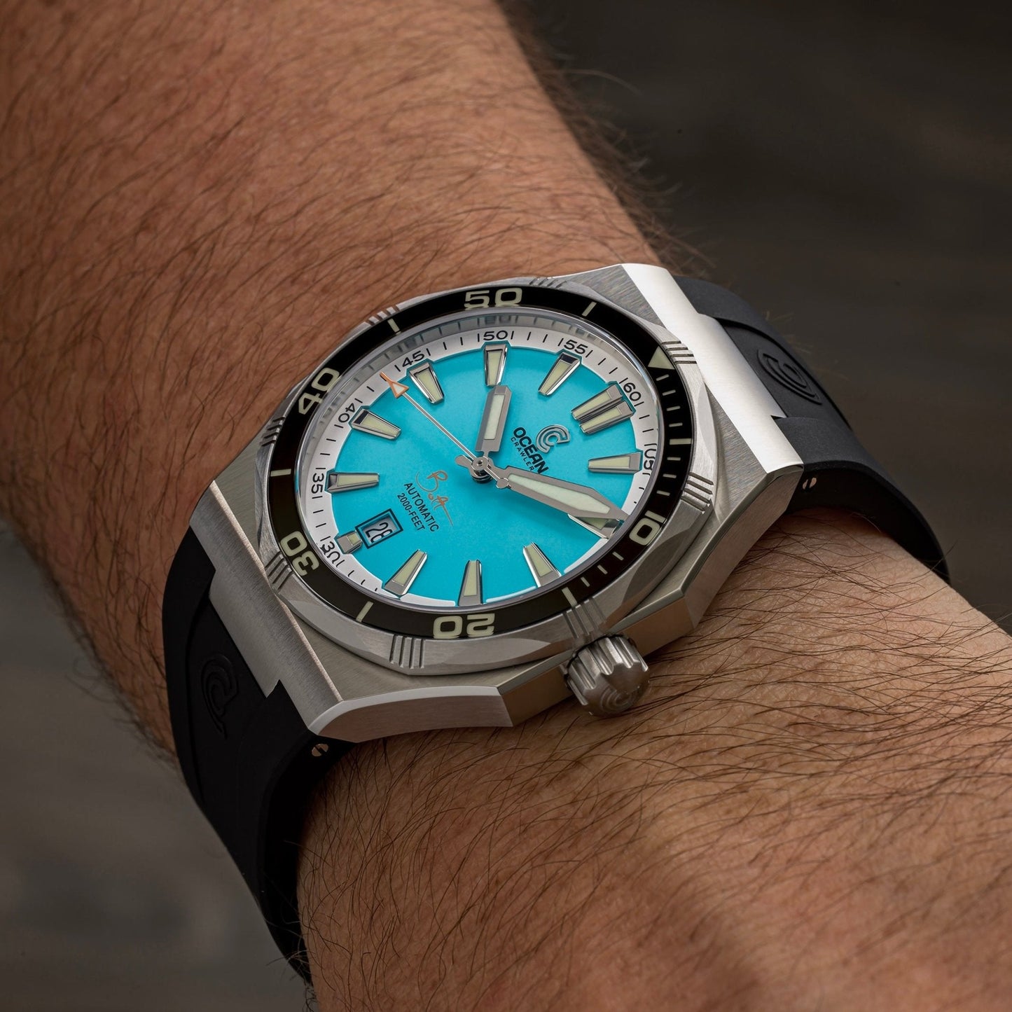Bolt - Blue Marlin