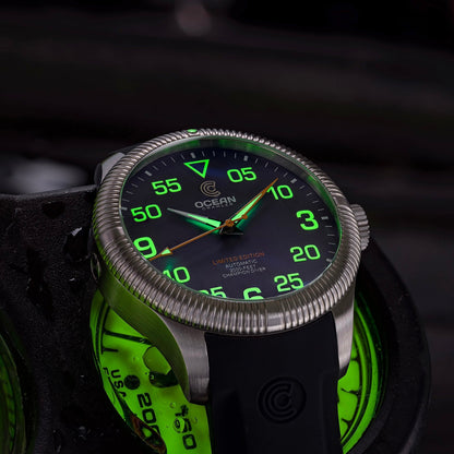 Champion Diver - Limited Edition - Mulberry