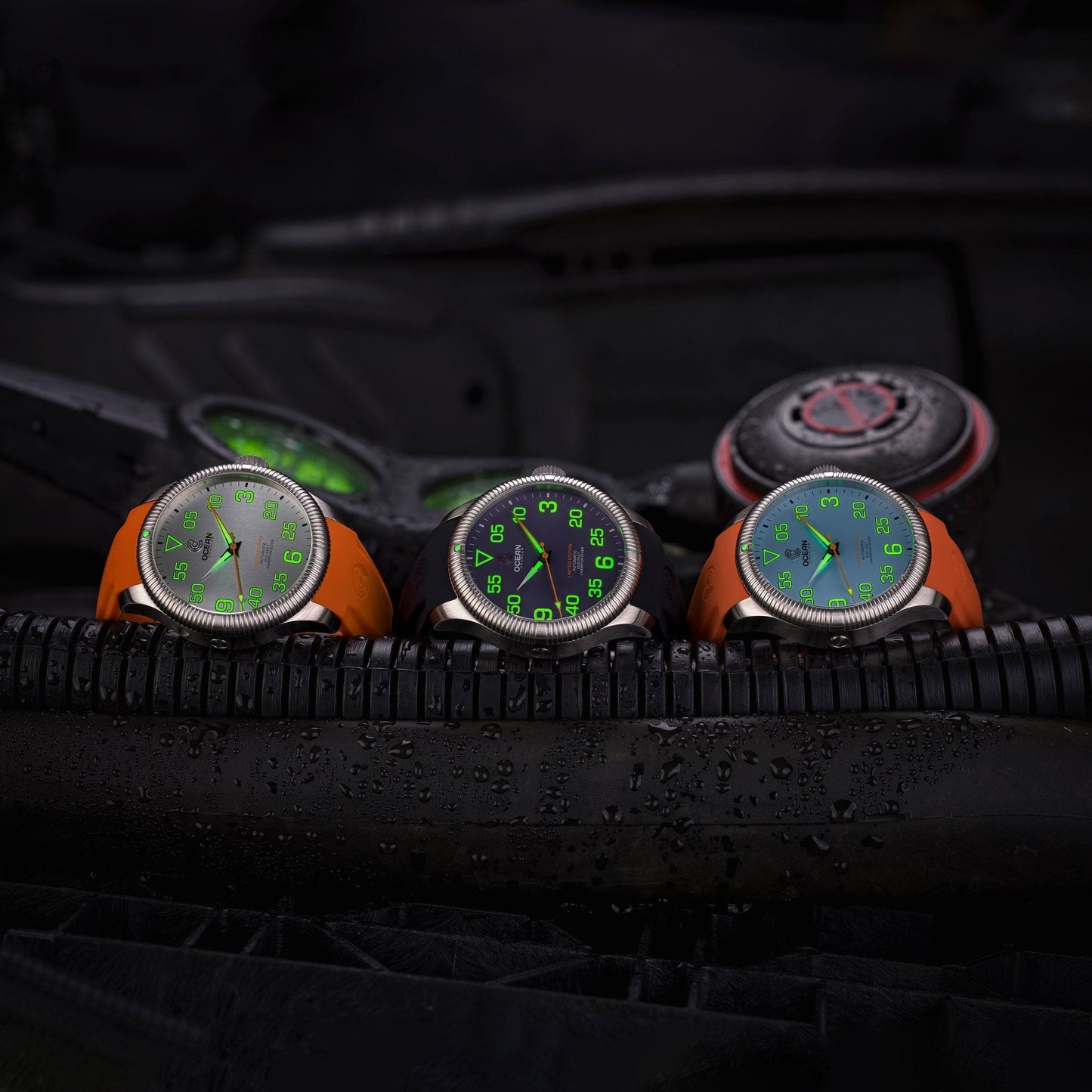 Champion Diver - Limited Edition - Mulberry