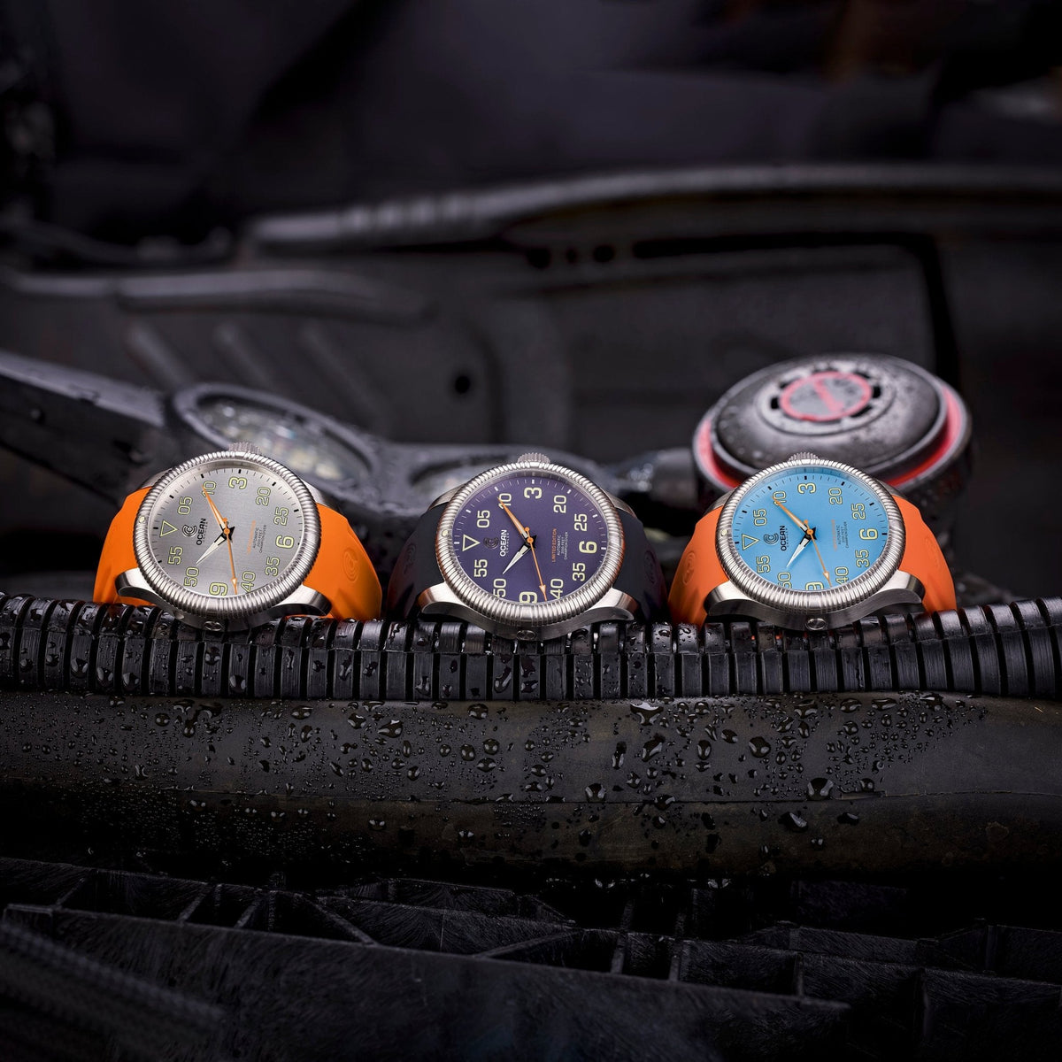 Champion Diver - Limited Edition - Mulberry