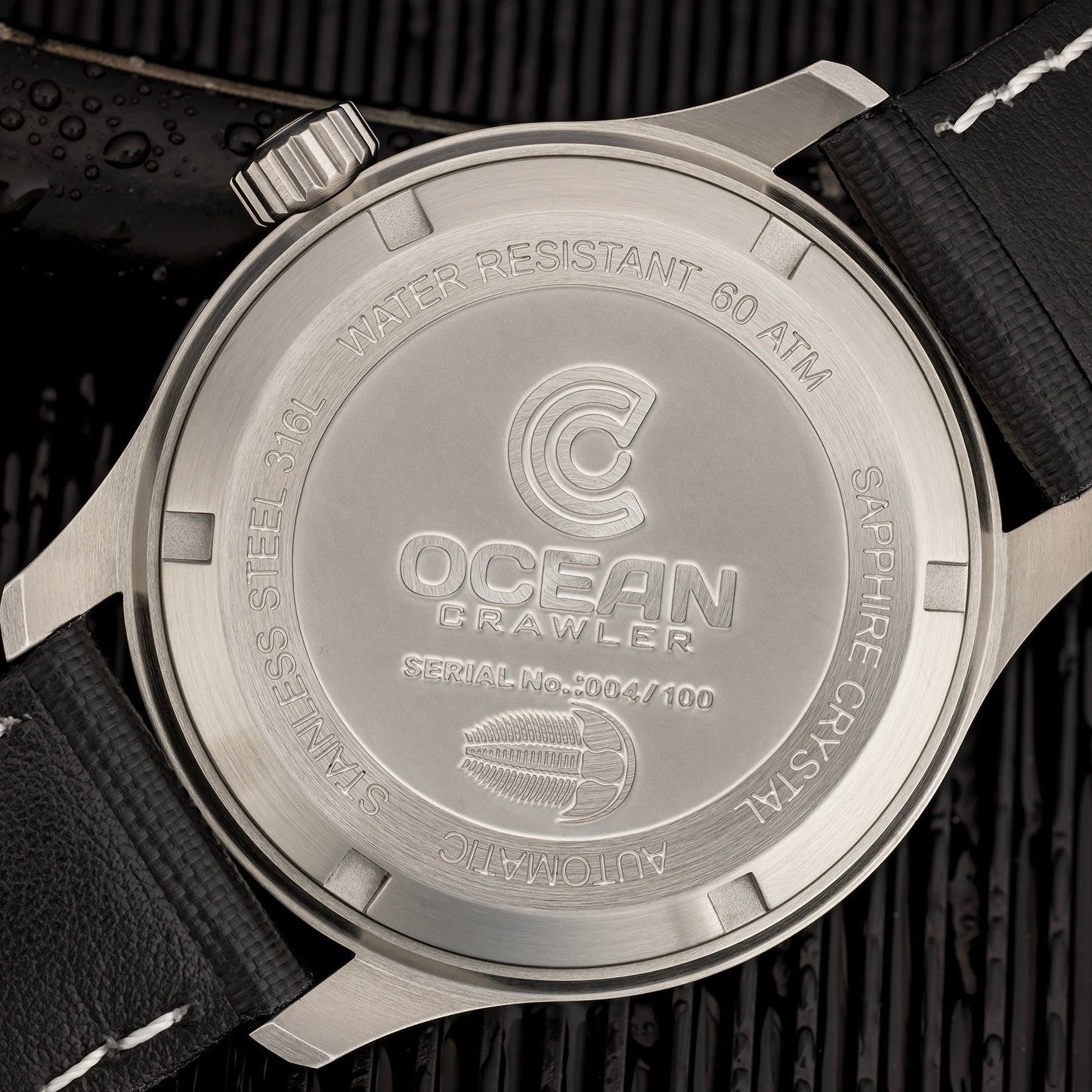 Dream Diver 2025 - Coastal Frost White