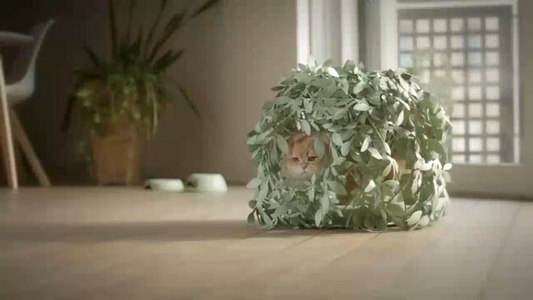 Cat Bush - Green Bush Cat Bed